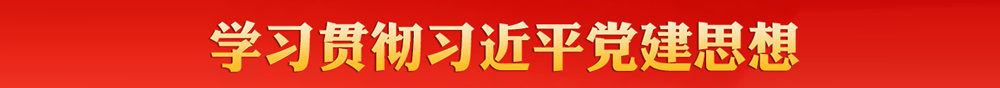 学习贯彻习近平党建思想