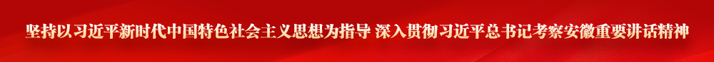坚持以习近平新时代中国特色社会主义思想为指导 深入贯彻习近平总书记考察安徽重要讲话精神